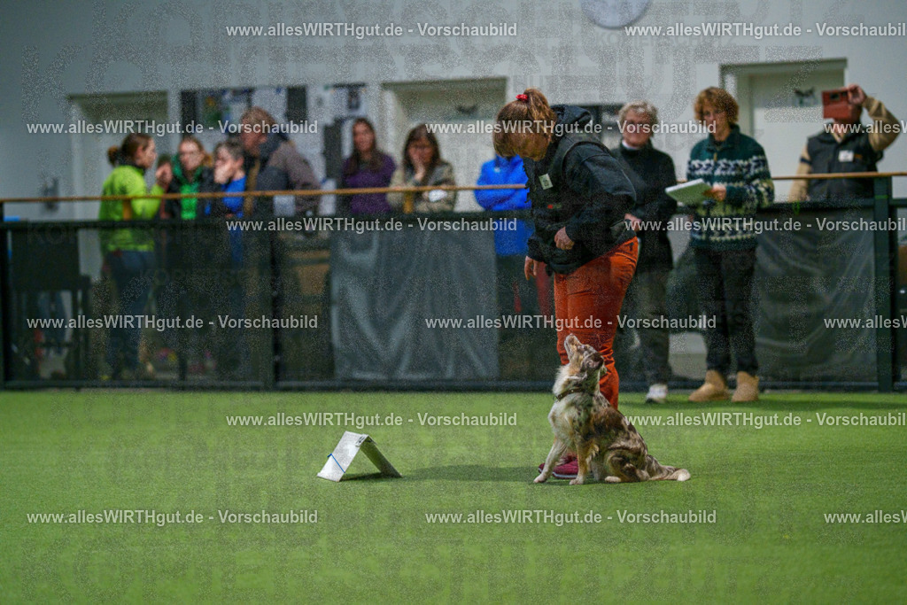 7R504628 | Professionelle Tierfotografie in Mönchengladbach von Daniel Wirth (allesWIRTHgut). Liebevolle & natürliche Bilder von Hunden & Katzen für unvergessliche Erinnerungen.