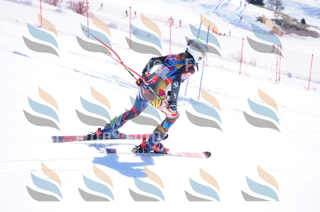 DSC_3669 | holidayphoto