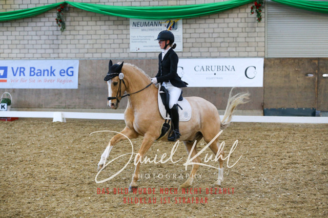 IMG_2786 | Turnierfotos kaufen im Webshop von Daniel Kuhl Photography – entdecke professionelle Reitsportfotos aus Turnieren & Events. Hochwertige Turnierbilder online bestellen & sichern. Jetzt Fotos von Reitsportturnieren kaufen!