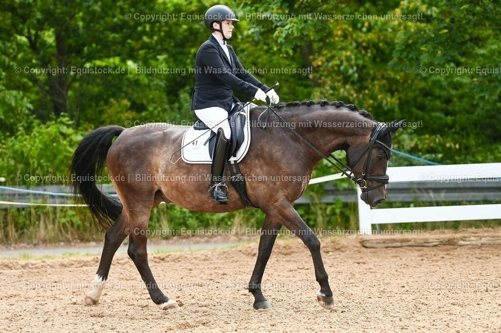 20230715_07_Dressurpferdeprfg. Kl.L_0126 | equistock