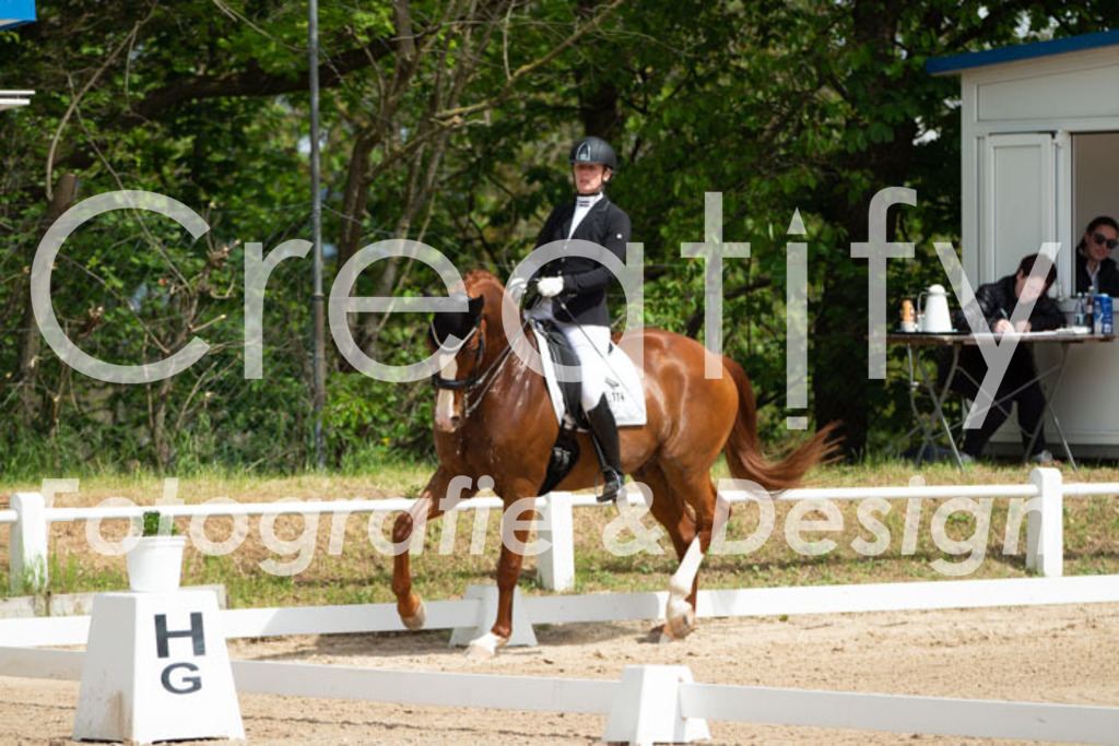 IMG_6419 | Creatify Fotografie