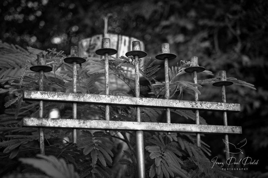 2024-08-08_20_23_17_L1007850-Bearbeitet | Franz Podek
