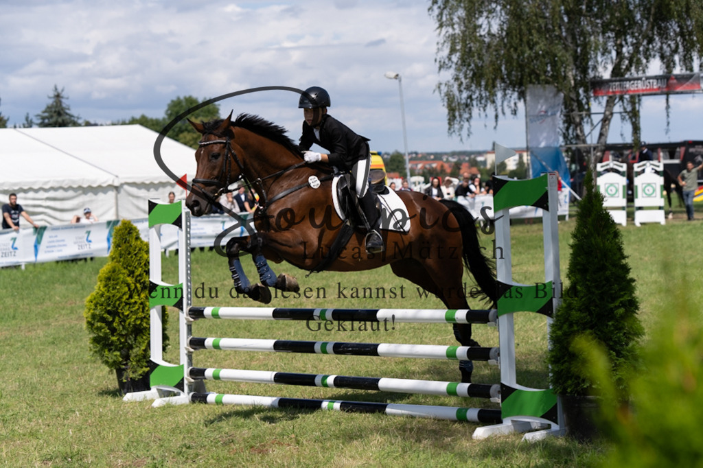 A7V04287 | Pferdefotograf