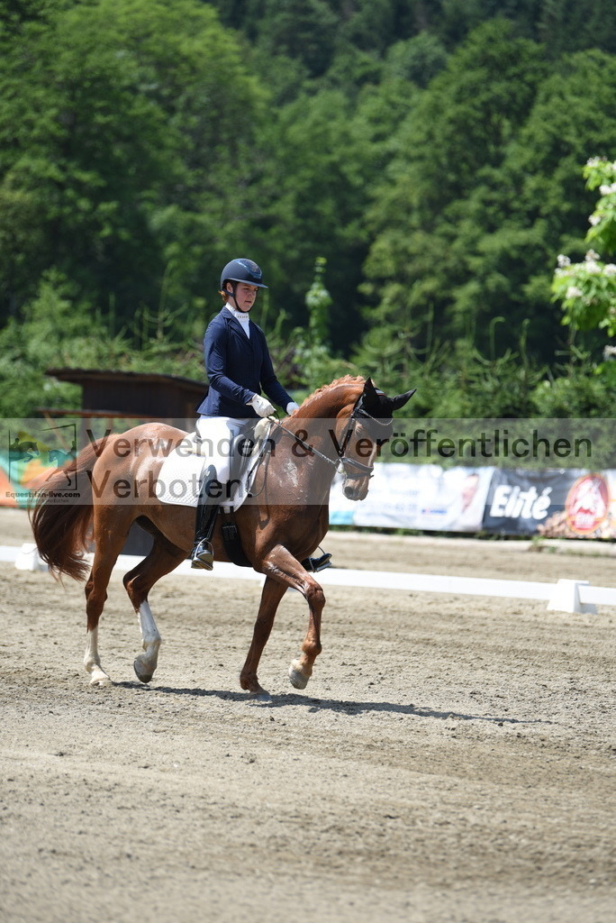 DSC_0572 | equestrian-live-com