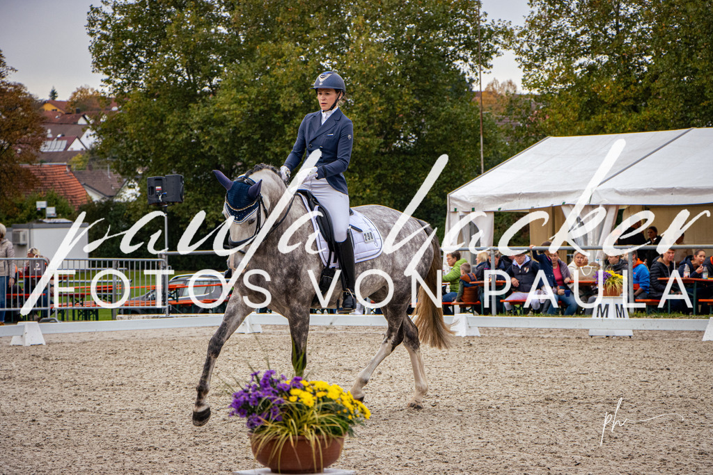 IMG_1168 | Erleben Sie dynamische Sport- und emotionale Tierfotografie in Süddeutschland mit Fotos von Paula. Spezialisiert auf Pferde- und Hundefotografie sowie Sportevents. Kontaktieren Sie mich für einzigartige und ausdrucksstarke Bilder Ihrer besonderen Momente. - Realisiert mit Pictrs.com
