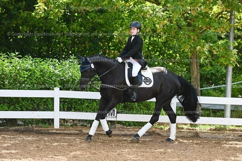 20230716_10-1_Reiter-WB Schritt - Trab - Galopp_0145 | equistock