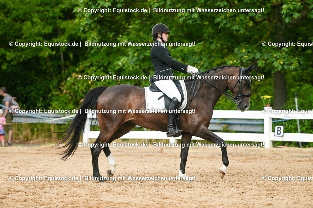 20230716_01_Dressurprüfung Kl.M_0528 | equistock