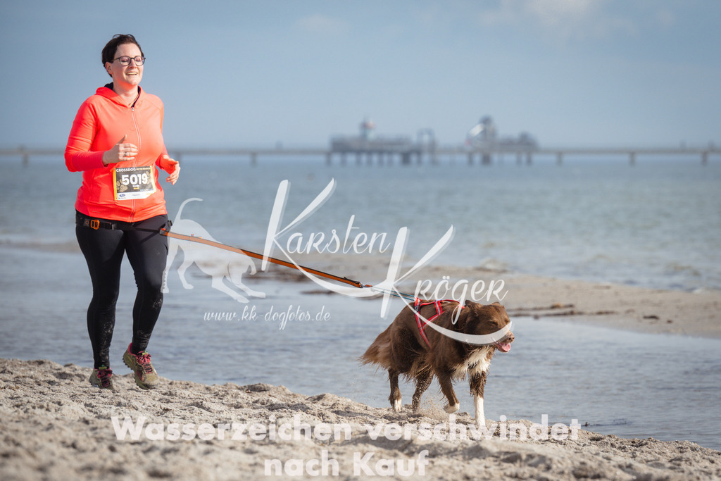 1234_ZZ97003 | kk-dogfotos