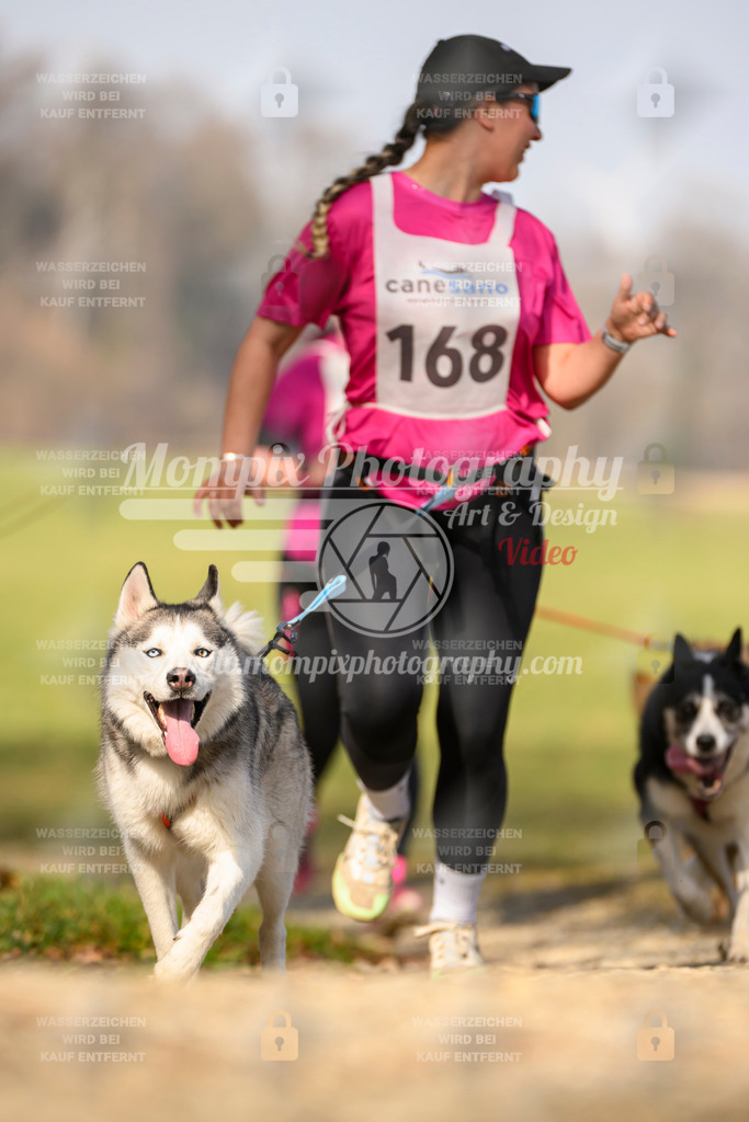 MompixPhotography_6ReiatRennen2026_SA_HappyDog-88 | PayLife