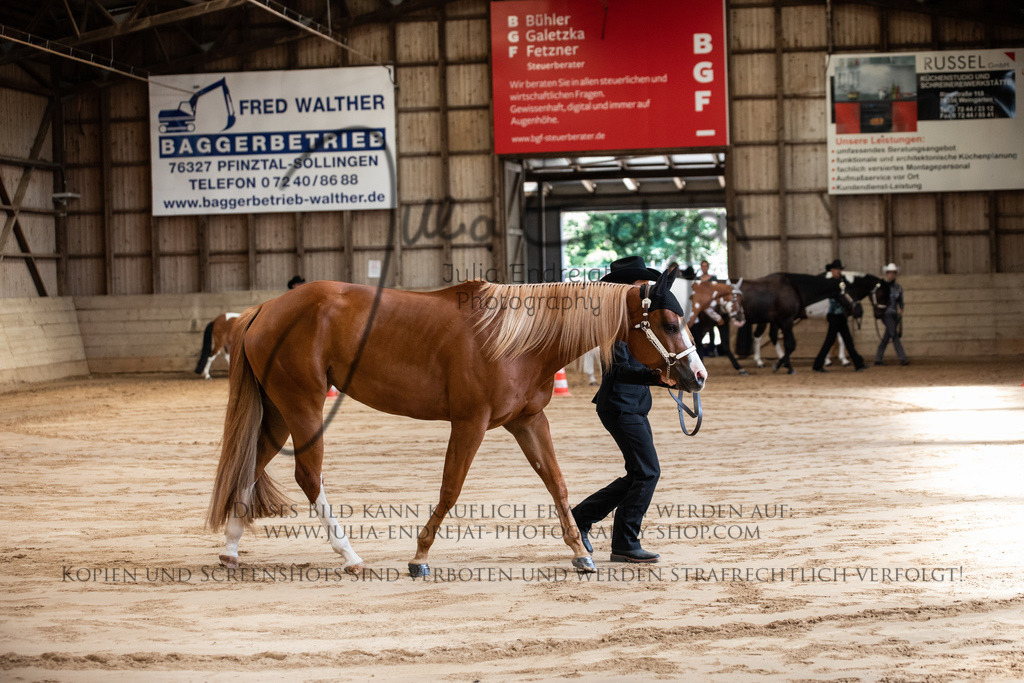 20220625-JuliaEndrejatPhotography-0010 | Julia Endrejat Photography