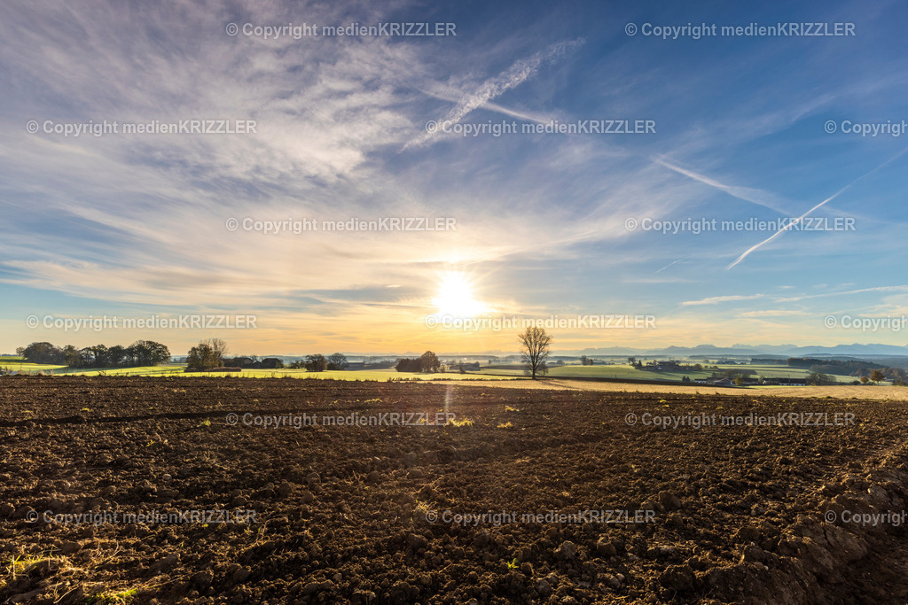 _J3A9044 | medienkrizzler - Realisiert mit Pictrs.com