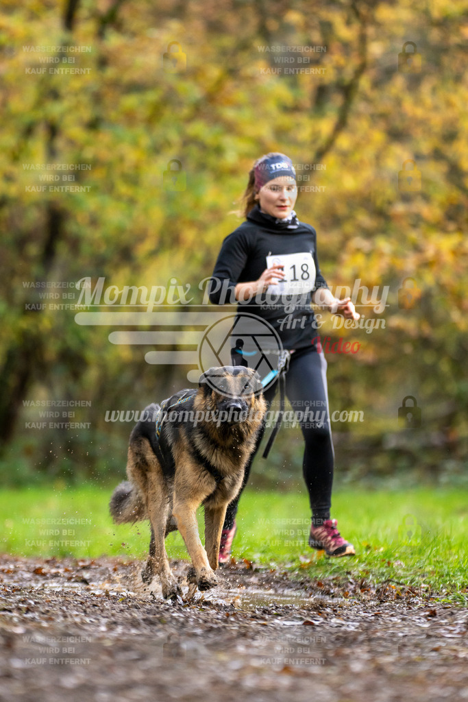 MompixPhotography_Bischwiller23_Canicross-95 | PayLife