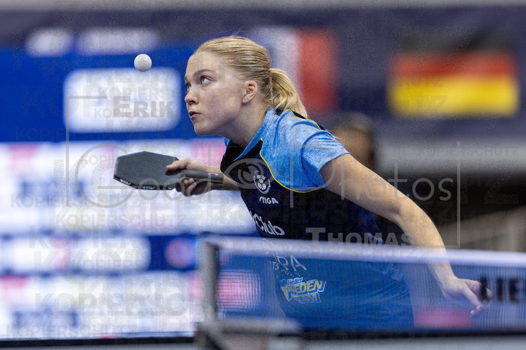 European_Championships_2024-10-17_090 | good-photos - Realizado com Pictrs.com