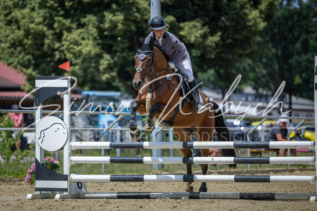 20260704-_3LI8718 | Tierfotografie Pferde, Hunde, Katzen, Haustiere.
Turnierfotografie Reitturniere, Reiten, Springreiten, Dressur in Hanau, dem Main-Kinzig-Kreis und dem Rhein-Main- Gebiet um Frankfurt