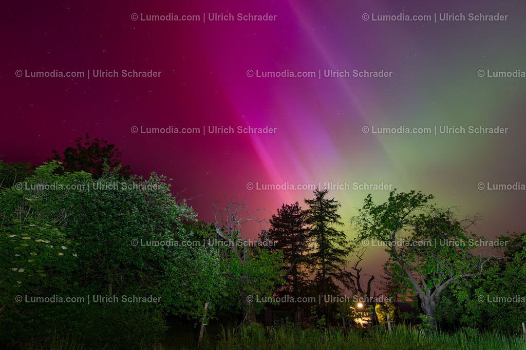 10049-13231 - Polarlicht am Huy | Stockfoto und Bilderpool mit Bildmaterial aus Deutschland, dem Harz, Halberstadt, Quedlinburg, Wernigerode und weltweit. Qualitativ hochwertige und professionelle Fotos anschauen und kaufen. - Realisiert mit Pictrs.com