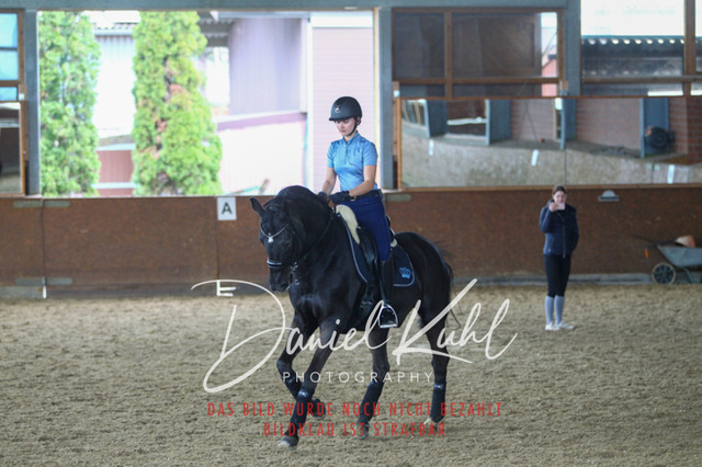 DKP42724 | Turniersportfotografie; Pferdefotografie; Dressurfotografie