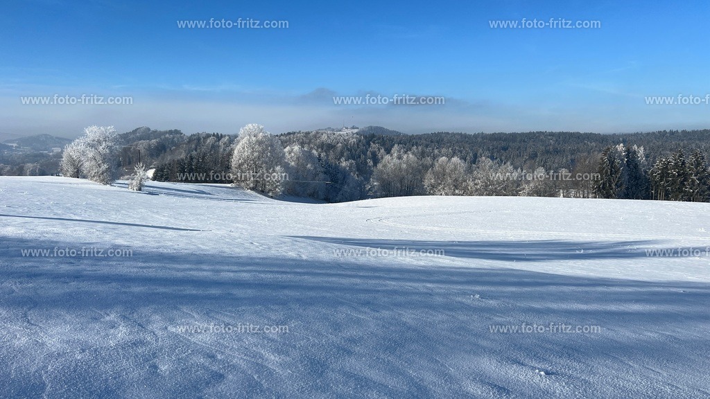 IMG_E6752 | www.foto-fritz.com - Realisiert mit Pictrs.com