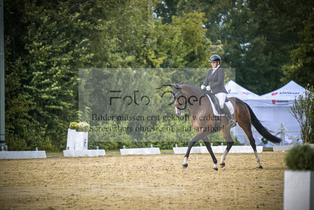 DOS_0209 | Entdecke hochwertige Reitturnierfotos von Foto Oger. Professionell, emotional und authentisch – jetzt Lieblingsmomente im Shop bestellen.Deutschlandweite Turnierfotografie. - Realisiert mit Pictrs.com