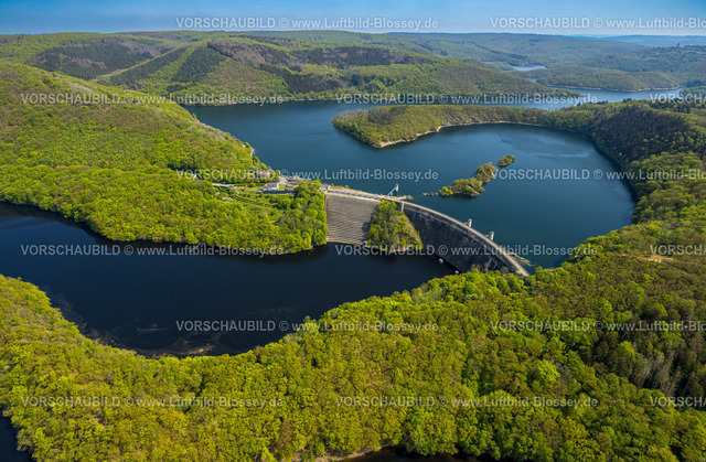 Schleiden240502027Eifel_Urfttalsperre | Luftbild, Fluss Rur Urftsee, Urfttalsperre Staumauer, Fernsicht Waldgebiet Hügel und Täler Nordeifel Nationalpark Eifel, Morsbach, Schleiden, Nordrhein-Westfalen, Deutschland