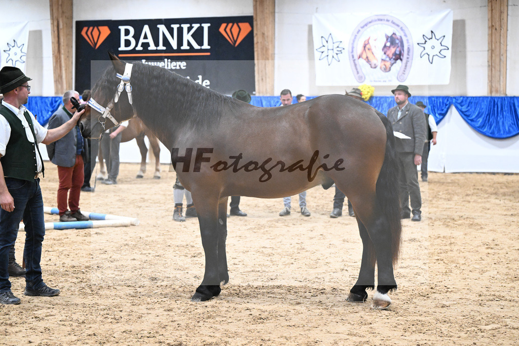 Kat-Nr. 54 nn v. Robin_Birkholz_39251311 | hf-fotografie - Realizzato con Pictrs.com