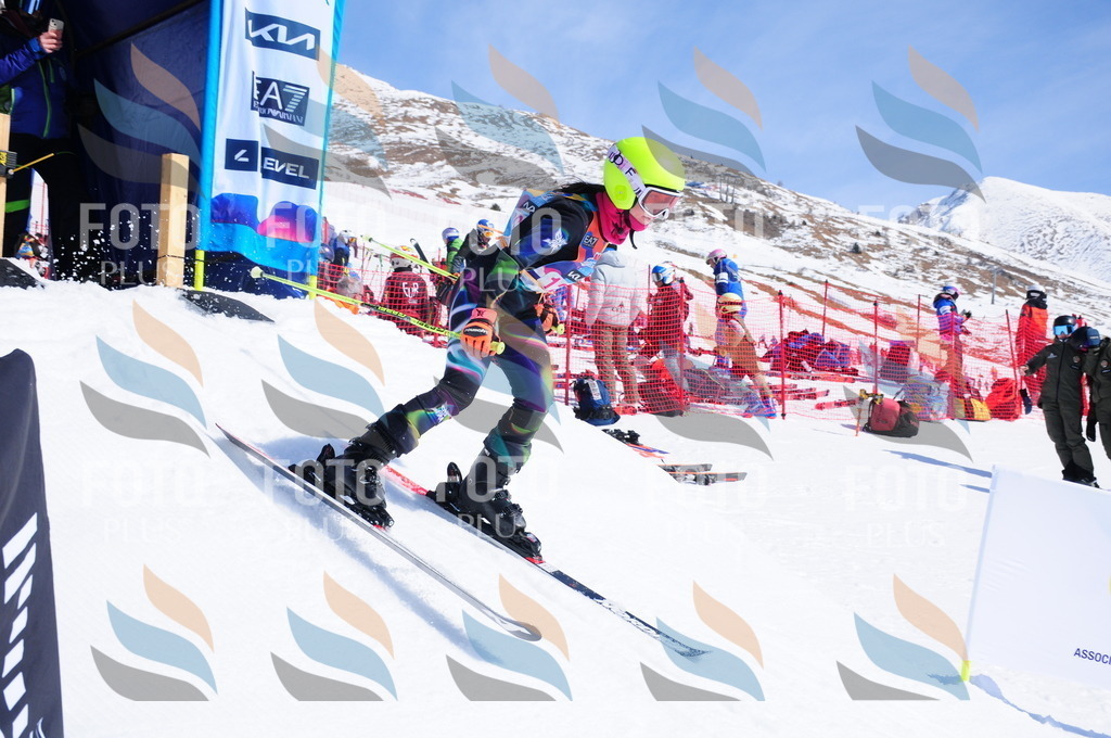 DSC_4989 | holidayphoto