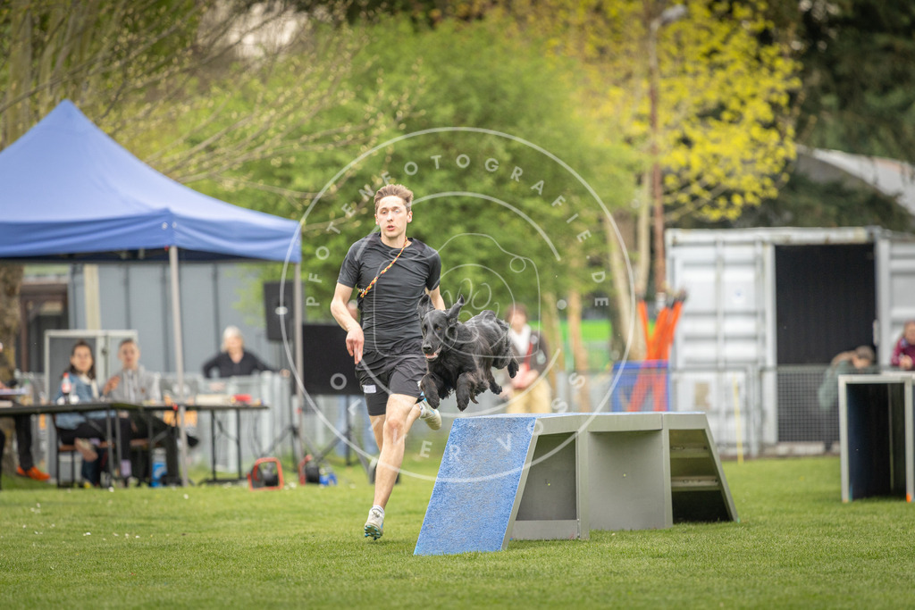 Pfotenfotografie_DV3A1216 | Hundefotografie, Tierfotograf, Pfotenfotografie, Fotoshooting Hund, Hunde Portrait, Hundesport, Hundeportraits, Heideshooting, Hunde, Sportfotograf, Hundefotograf, Turnierhundsport, THS,  - Realisiert mit Pictrs.com