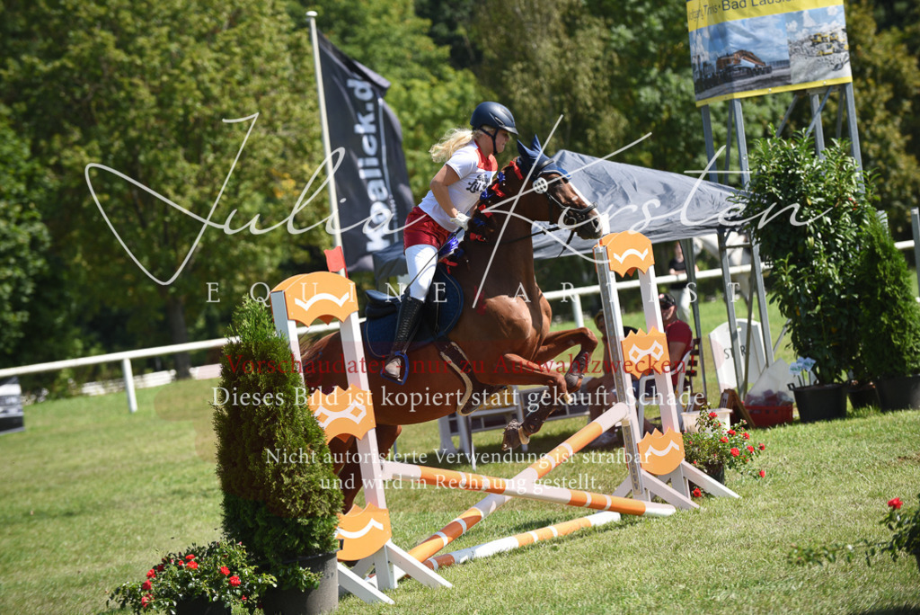 DSC_0331 | Pferde- und Turnierfotografie in Westsachsen. Pferdeportraits, Auftragszeichnungen und intuitive Kunst.