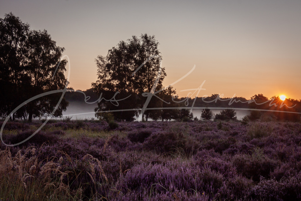 IMG_7424 | Landschaftsaufnahmen aus Deutschland. Sonne, Wasser, Wind und Wahrzeichen - Realisiert mit Pictrs.com