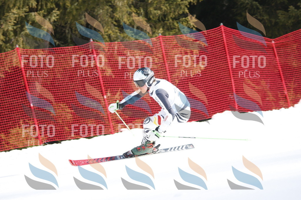 D8177 | holidayphoto