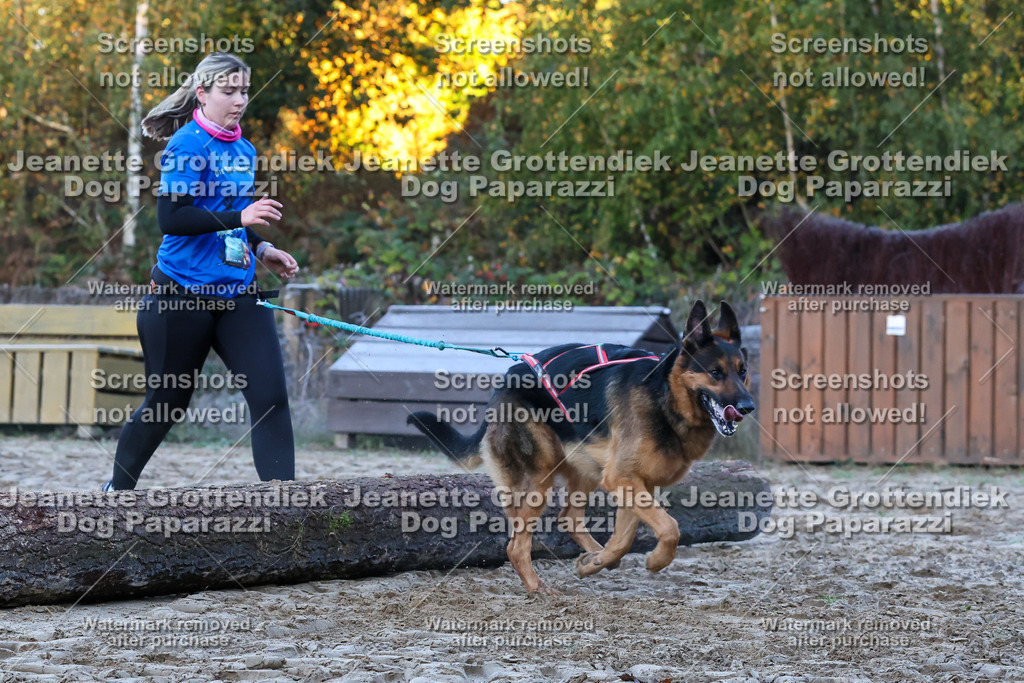 Dog Paparazzi - Strongdog 10-25-341 | Dog Paparazzi Jeanette Grottendiek Fotografie & Videografie - Realisiert mit Pictrs.com