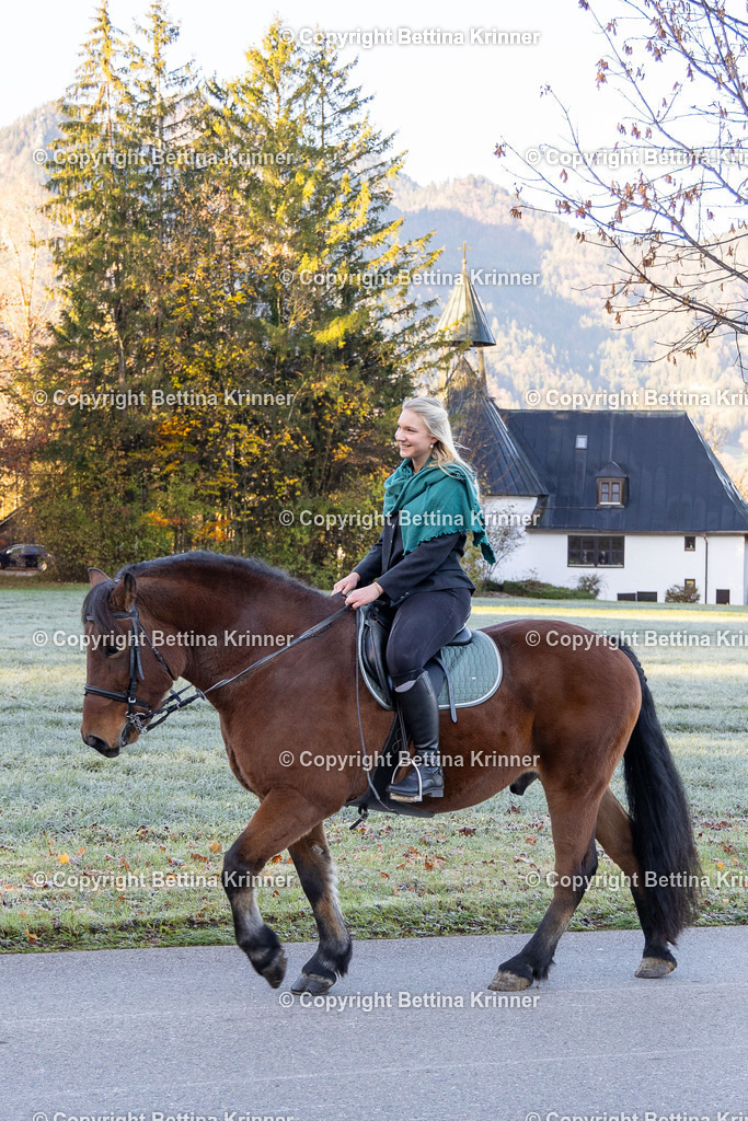 LL24-100 | foto-bettina-krinner - Realisiert mit Pictrs.com