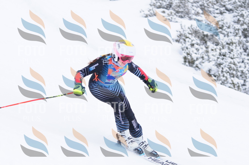 C3809 | holidayphoto