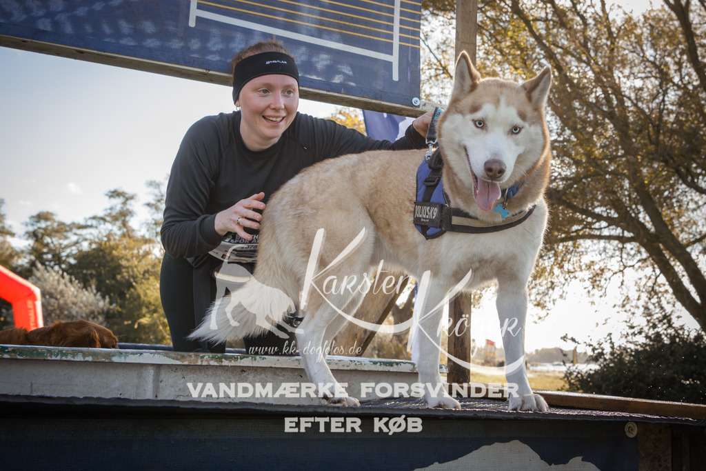 1229_ZZ96645-2 | kk-dogfotos