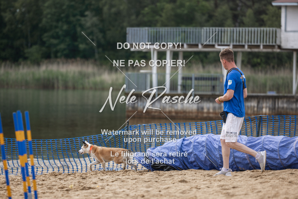 nelerasche_BuHu2026_So1530-Ende_53 | nelerasche