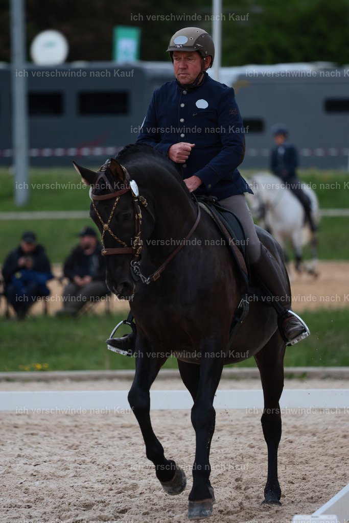 PI26_DR_255_StoibphotographyC2_L7935.jpg | working equitationturnier fotograf videograf stoibphotography marixx film working equitation deutschland reitsport turnierfotografie eventfotografie equestrian events