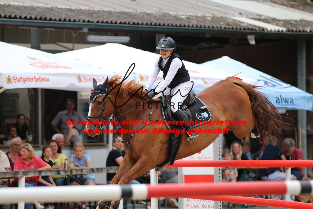 IMG_2805 | lmwpictures - Realisiert mit Pictrs.com