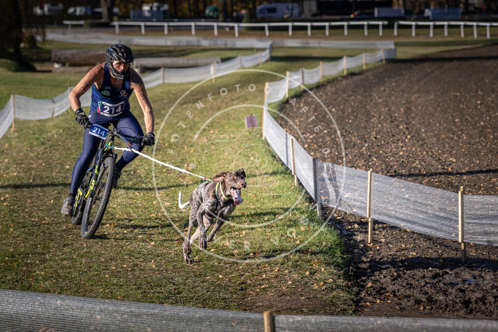 CaniXpix_DV3A3215 | Hundefotografie, Tierfotograf, Pfotenfotografie, Fotoshooting Hund, Hunde Portrait, Hundesport, Hundeportraits, Heideshooting, Hunde, Sportfotograf, Hundefotograf, Turnierhundsport, THS,  - Realisiert mit Pictrs.com