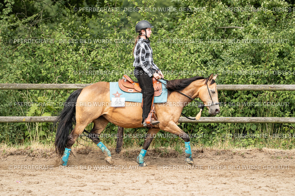 DSC03920 | Pferdegrafie