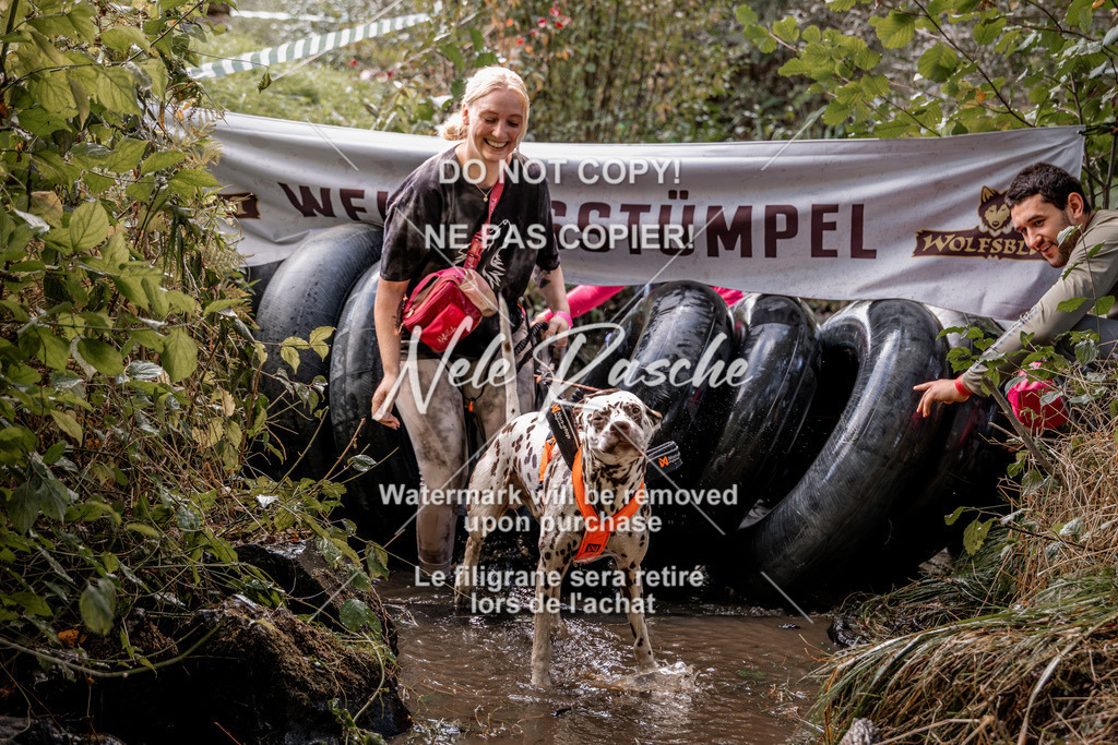 nelerasche_Hunsrück2026_Sa1400-1500_198 | nelerasche