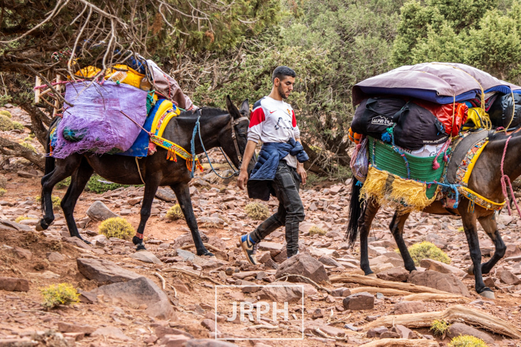 IMG_8171 | jrph - Realisiert mit Pictrs.com