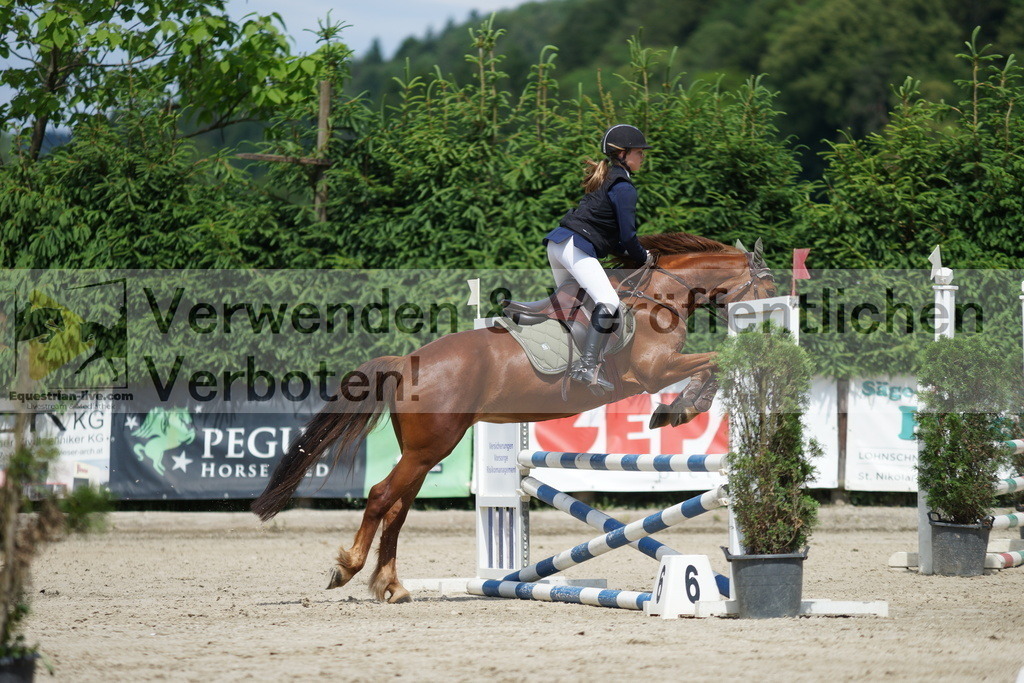DSC06303 | equestrian-live-com