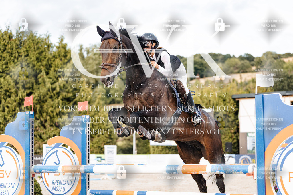 CK903974 | Turnierfotografie Pferdefotografie Trier Rheinland-Pfalz Pferdesport Reitsport Tierfotografie Sportfotografie Pferdevideo Pferdevideografie Equestrianvideography equestrianphotography  - Realisiert mit Pictrs.com