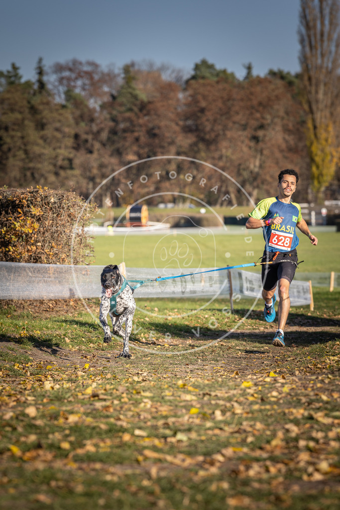 CaniXpix_DV3A0042 | Hundefotografie, Tierfotograf, Pfotenfotografie, Fotoshooting Hund, Hunde Portrait, Hundesport, Hundeportraits, Heideshooting, Hunde, Sportfotograf, Hundefotograf, Turnierhundsport, THS,  - Realisiert mit Pictrs.com