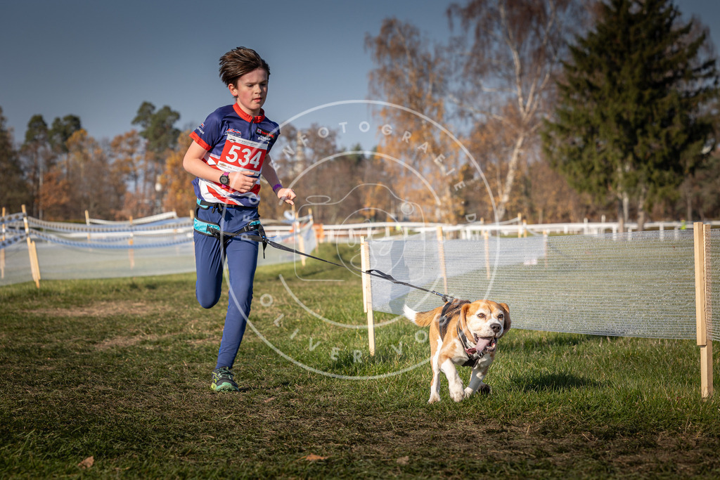 CaniXpix_0L8A9035 | Hundefotografie, Tierfotograf, Pfotenfotografie, Fotoshooting Hund, Hunde Portrait, Hundesport, Hundeportraits, Heideshooting, Hunde, Sportfotograf, Hundefotograf, Turnierhundsport, THS,  - Realisiert mit Pictrs.com