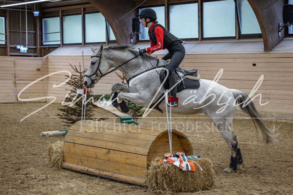 20260222-_3LI1034 | Tierfotografie Pferde, Hunde, Katzen, Haustiere.
Turnierfotografie Reitturniere, Reiten, Springreiten, Dressur in Hanau, dem Main-Kinzig-Kreis und dem Rhein-Main- Gebiet um Frankfurt