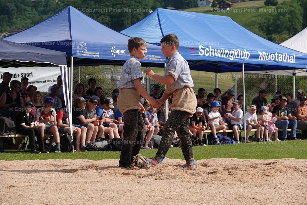 DSC04388 | Schwingen - Realisiert mit Pictrs.com