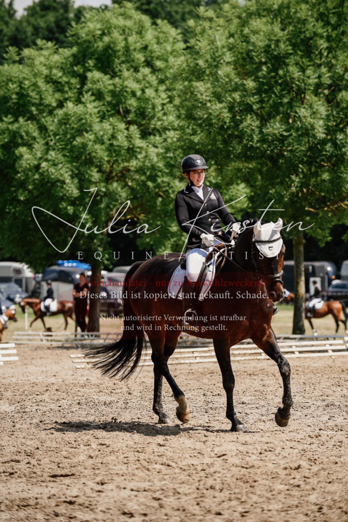 DSC_1063 | Pferde- und Turnierfotografie in Westsachsen. Pferdeportraits, Auftragszeichnungen und intuitive Kunst.