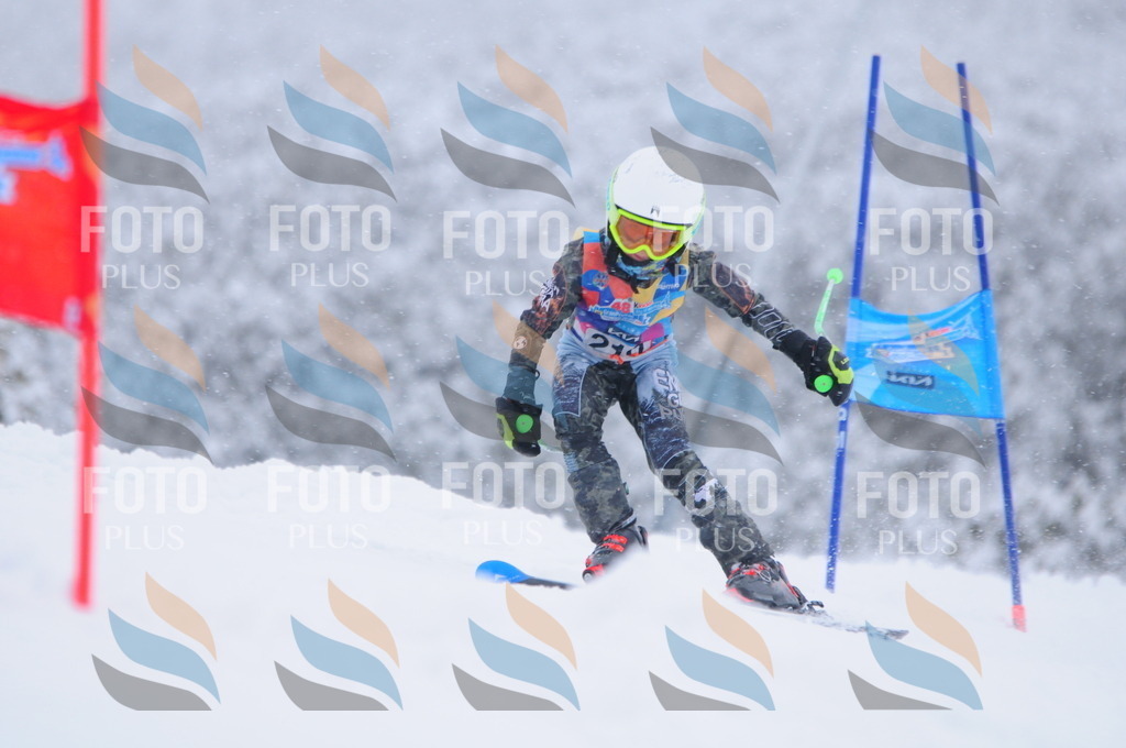 C2262 | holidayphoto