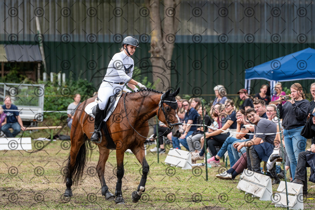 SHT_7638 | andre_photographic