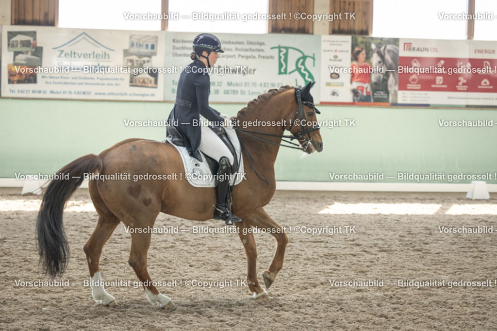 _D5A2461 | Emotionale Pferde- & People-Fotografie rund um Heidelberg, Leimen & Umgebung. Natürliche Fotos von Pferd, Mensch & Familie. Jetzt Termin sichern!